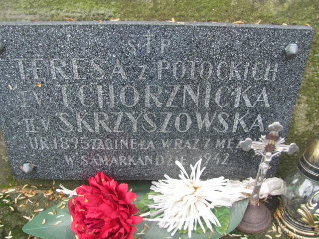 Aleksander Potocki 1895 Rymanów - Grobonet - Wyszukiwarka osób pochowanych