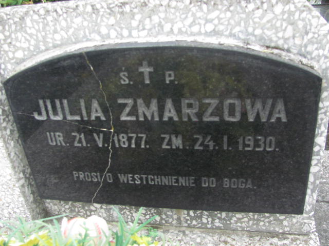 Julia Zmarzowa 1877 Rymanów - Grobonet - Wyszukiwarka osób pochowanych