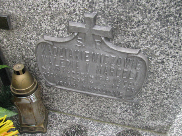 Marceli Nadziakiewicz 1870 Rymanów - Grobonet - Wyszukiwarka osób pochowanych