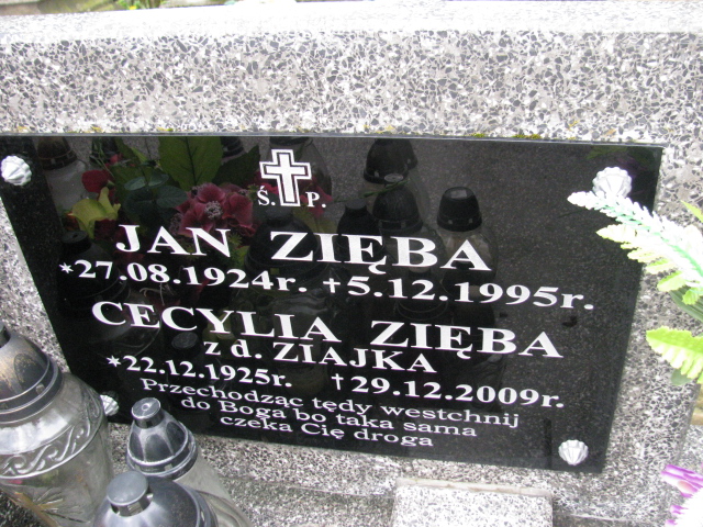 Wiktoria Ziajka 1896 Rymanów - Grobonet - Wyszukiwarka osób pochowanych