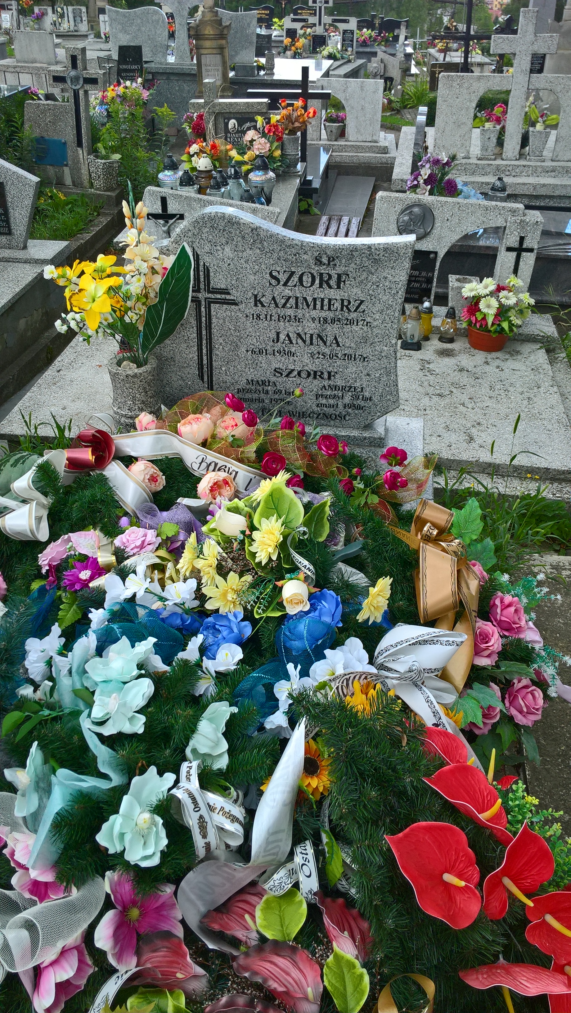 Janina Szorf 1930 Rymanów - Grobonet - Wyszukiwarka osób pochowanych