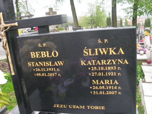Katarzyna Śliwka 1893 Rymanów - Grobonet - Wyszukiwarka osób pochowanych