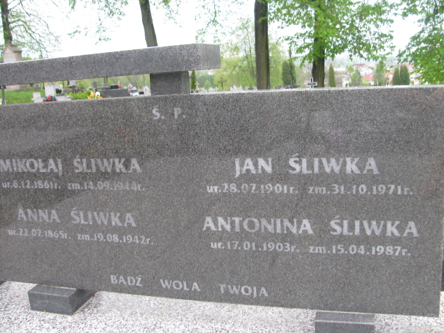 Anna Śliwka 1865 Rymanów - Grobonet - Wyszukiwarka osób pochowanych