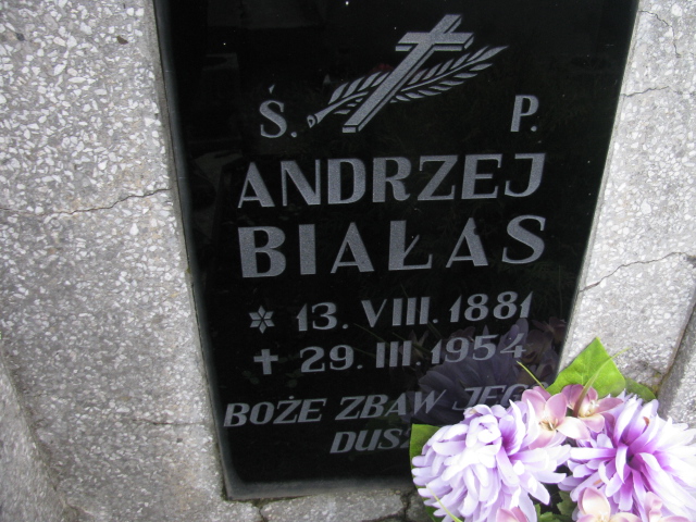 Andrzej Białas 1881 Rymanów - Grobonet - Wyszukiwarka osób pochowanych