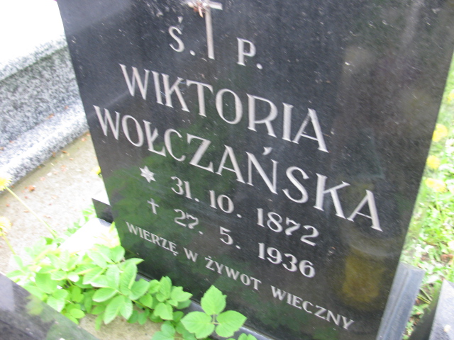 Wiktoria Wołczańska 1872 Rymanów - Grobonet - Wyszukiwarka osób pochowanych