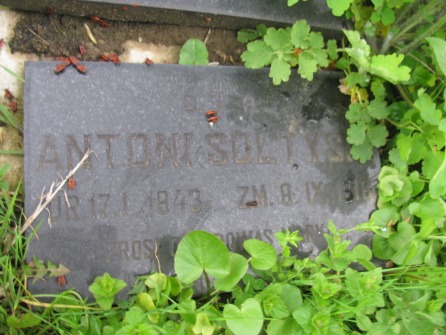 Maria Sołtysik 1845 Rymanów - Grobonet - Wyszukiwarka osób pochowanych