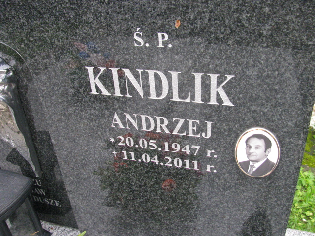 Wilhelmina Pniak 1909 Rymanów - Grobonet - Wyszukiwarka osób pochowanych