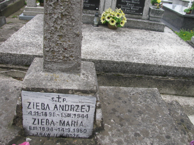 Andrzej Zięba 1890 Rymanów - Grobonet - Wyszukiwarka osób pochowanych