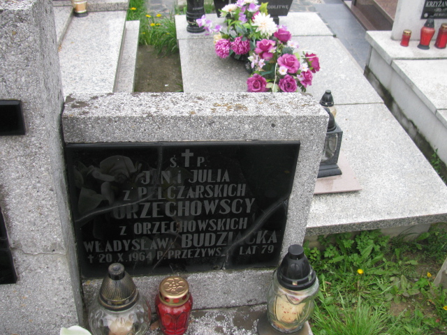 Julia Orzechowska Rymanów - Grobonet - Wyszukiwarka osób pochowanych