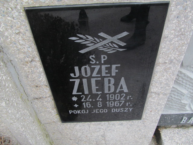 Józef Zięba 1902 Rymanów - Grobonet - Wyszukiwarka osób pochowanych