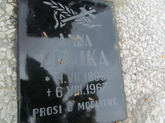 Anna Ziajka 1899 Rymanów - Grobonet - Wyszukiwarka osób pochowanych