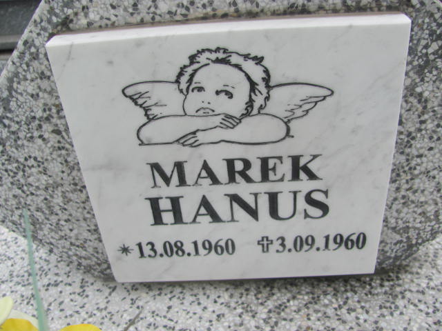 Marek Hanus 1960 Rymanów - Grobonet - Wyszukiwarka osób pochowanych