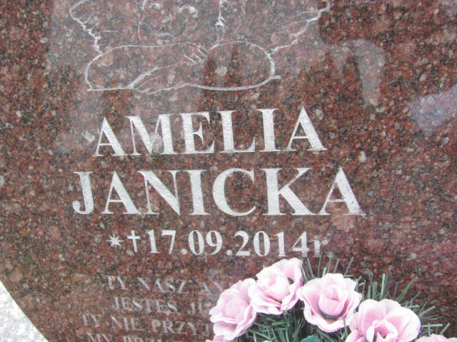 Amelia Janicka 2014 Rymanów - Grobonet - Wyszukiwarka osób pochowanych